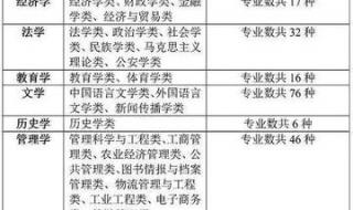 文科生可以报哪些专业